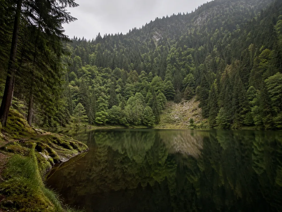 Huzenbachsee: kleiner Karsee im stillen Bannwald