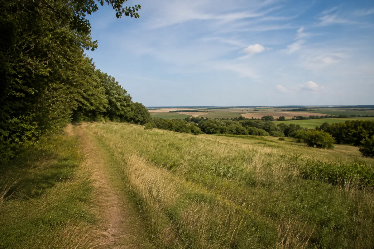 Ballenstedt: Laubwaldrand am sanften Nordhang bei Rieder in Ballenstedt, Wiesenweg mit weitem Blick auf Vorlandfelder