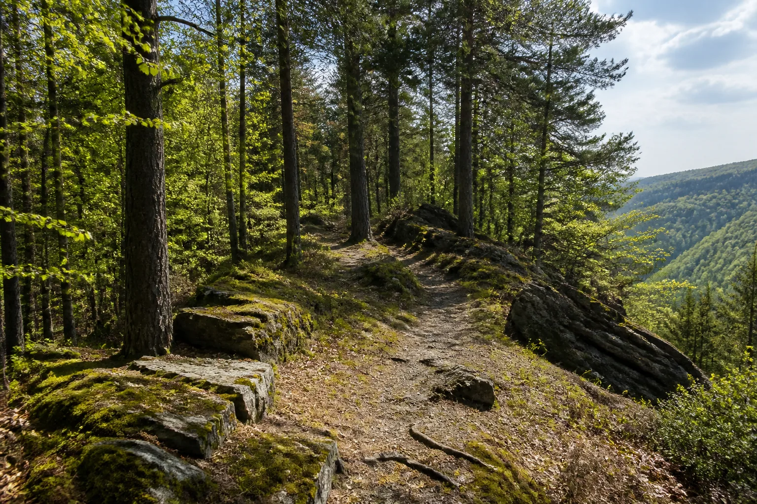 Waldpfad auf den Höhen des Balver Waldes