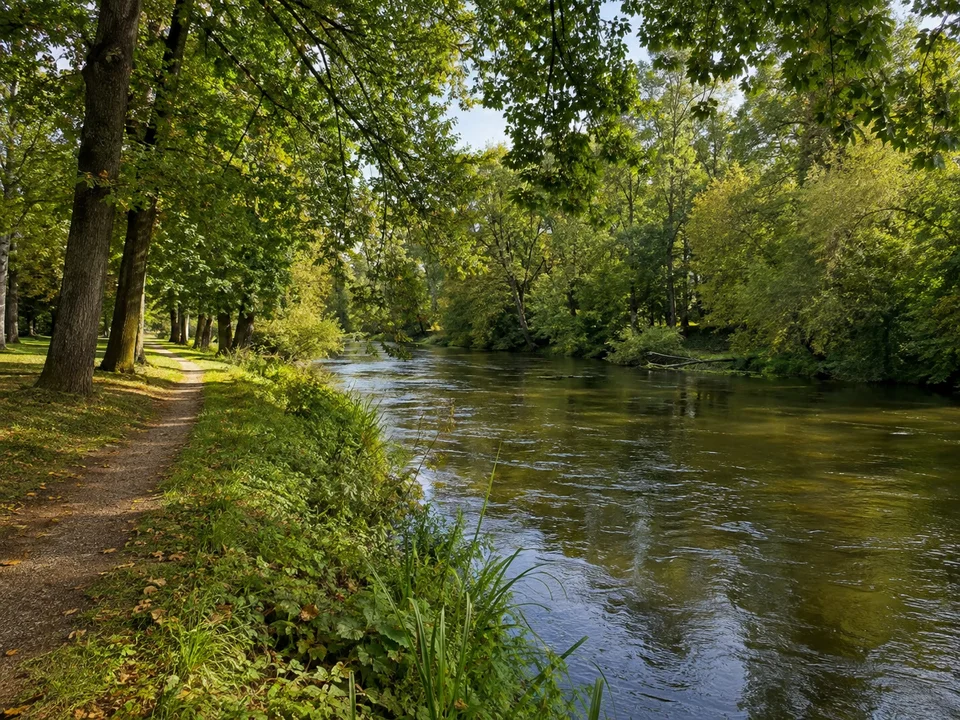 Regnitzufer im Hain: Ruhiger Regnitzarm am Bamberger Hain mit alten Laubbäumen, flachem Parkweg und natürlichem grünem Ufersaum