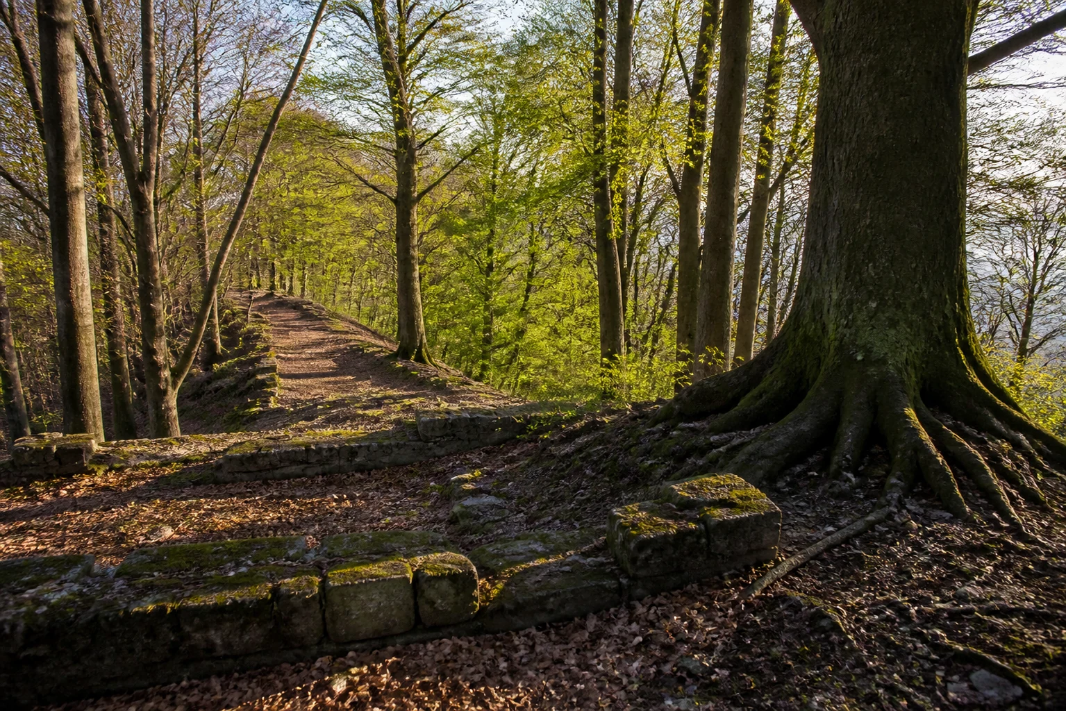 Wittekindsburg westlich von Barkhausen