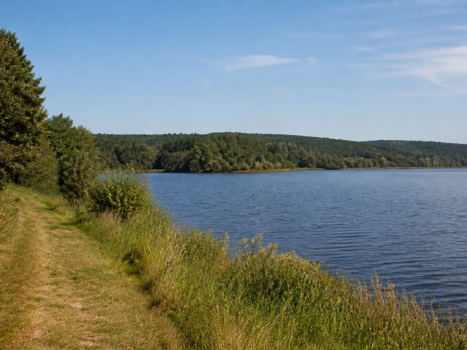 Bautzener Talsperre bei Burk: weites Stauwasser mit niedrigem bewaldetem Gegenufer und Wiesenweg am offenen Rand