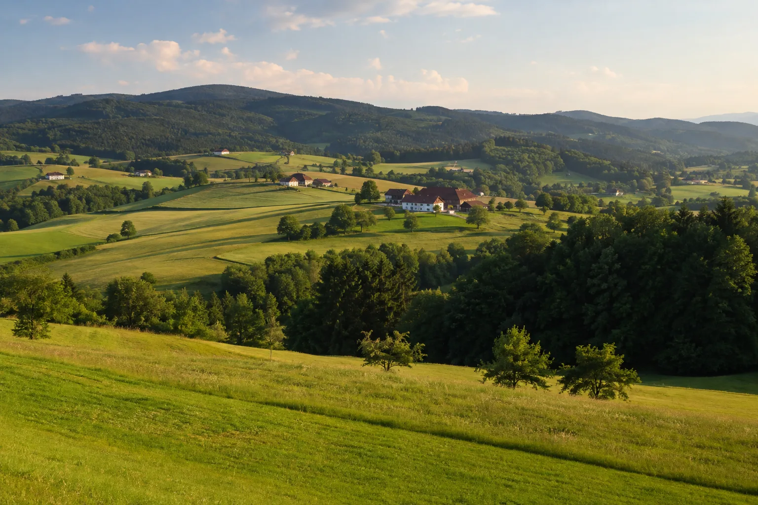 Ilzland: kleinteilige Wiesen, Einzelhöfe und dunkle Waldkämme
