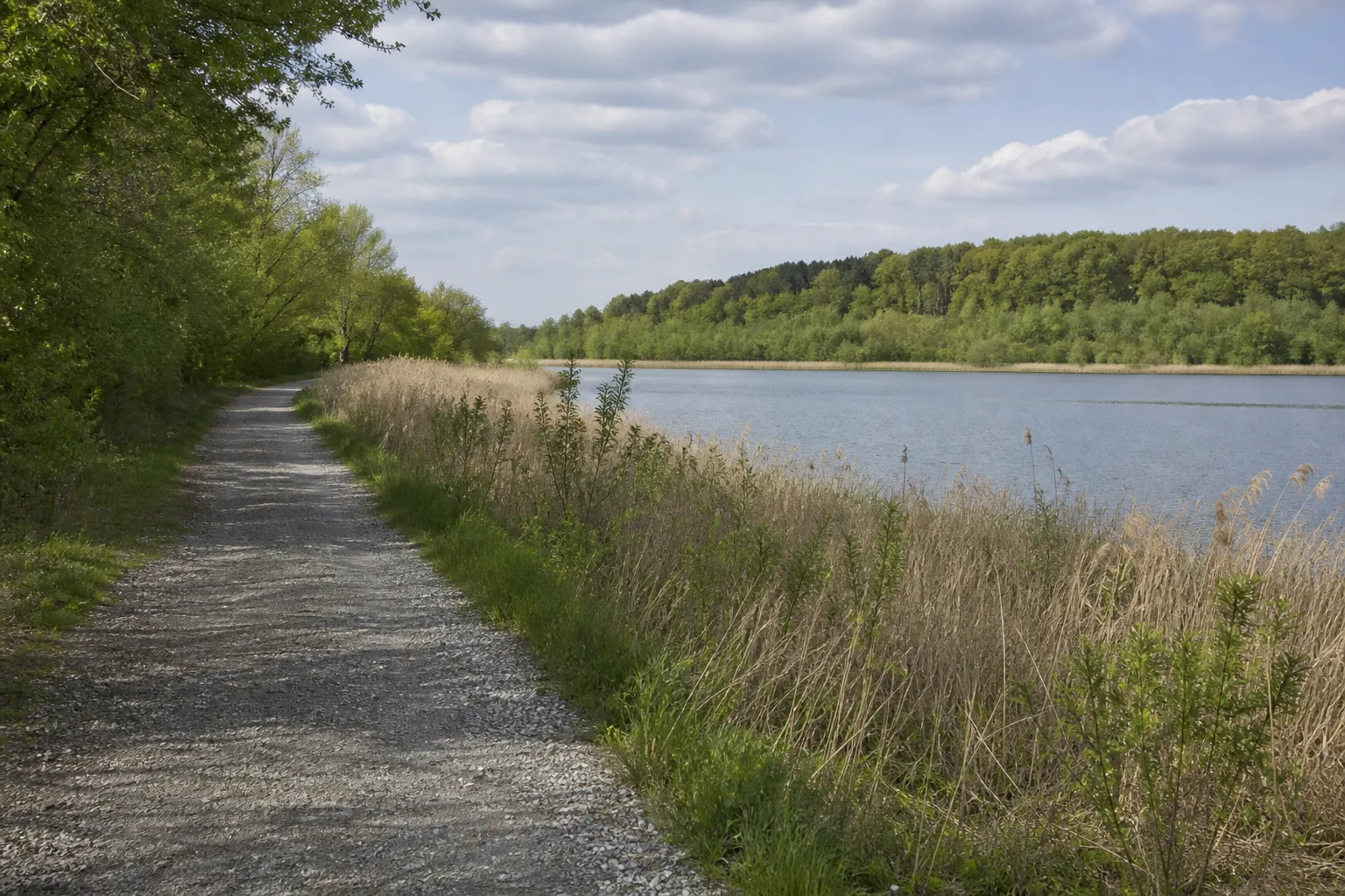 Peringsmaar und Wiedenfelder Höhe