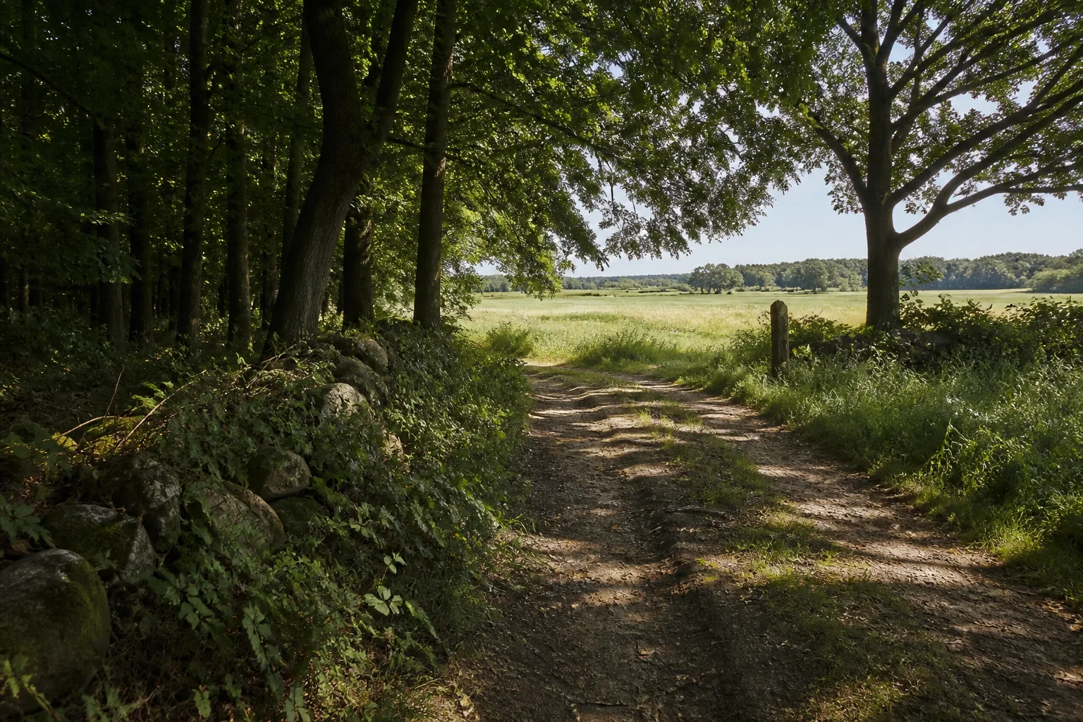 Hörster Wald