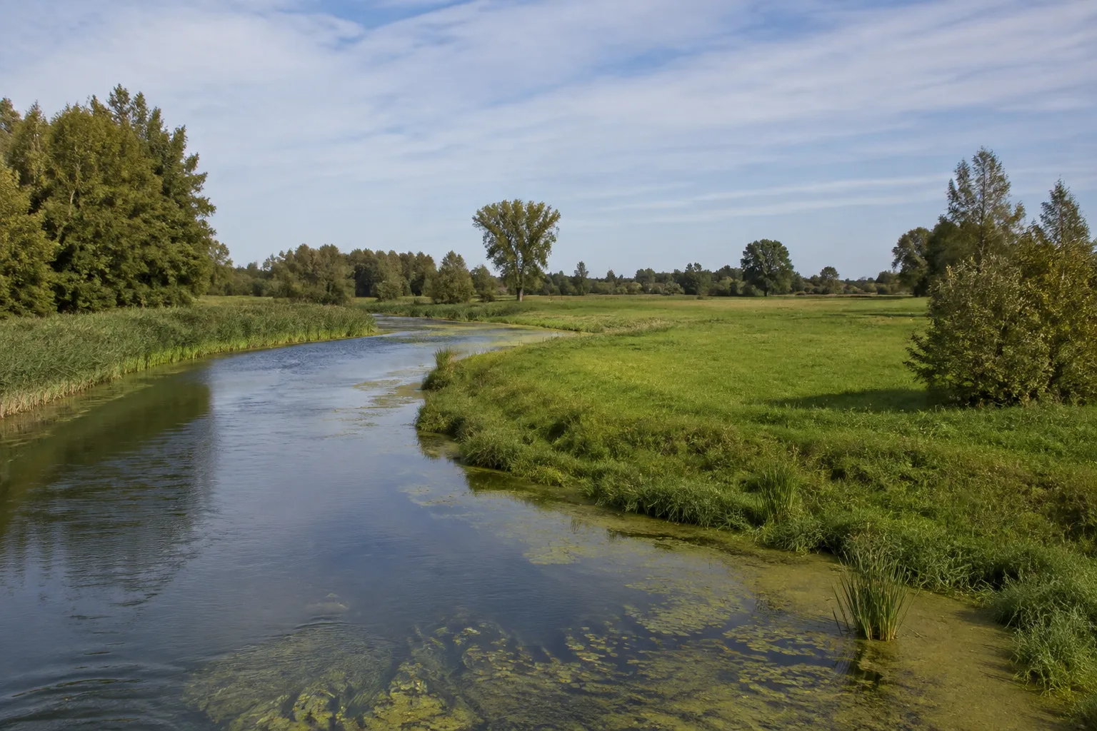 Radinkendorfer Spree: Dörfliche Flussränder und weite Wiesen an der Spree
