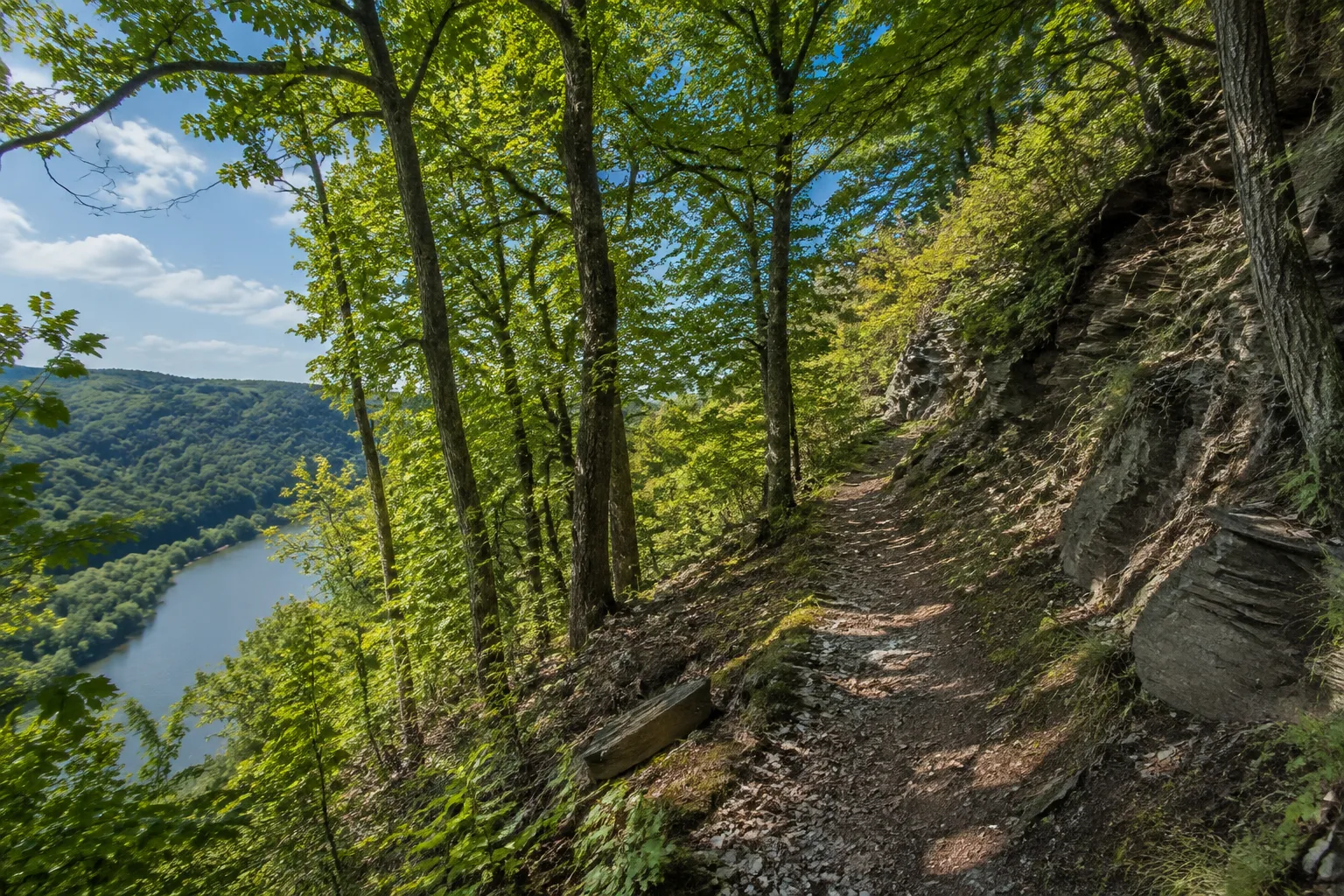 Moselburgen: Burg über Weinberg und Fluss