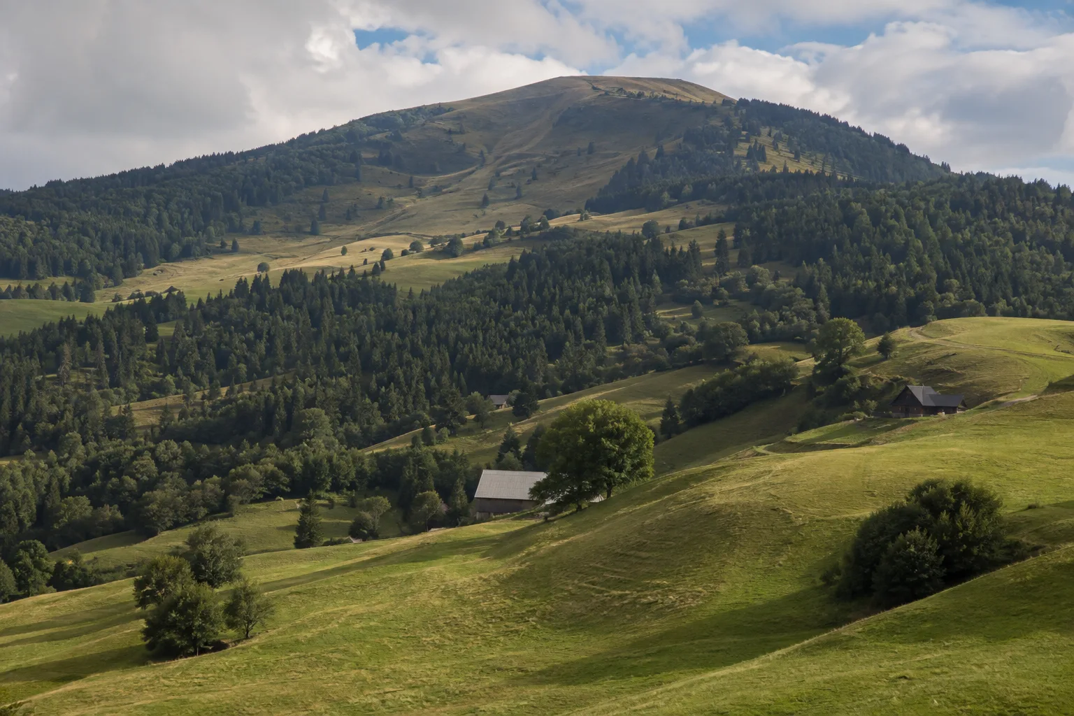 Südseite bei Neuenweg: offene Matten und Schwarzwaldhöfe am südlichen Bergfuß