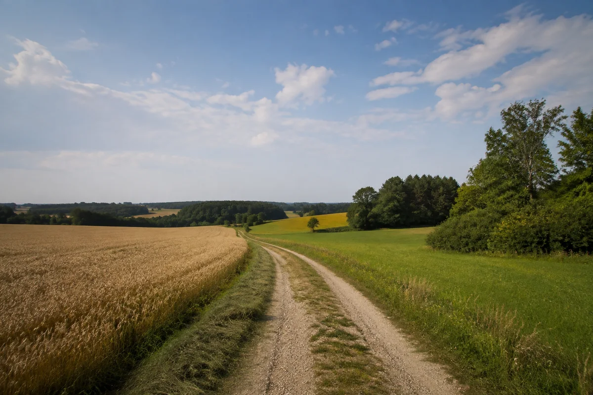 Offene Jurahochfläche bei Mausheim mit Getreidefeldern, Wiesen, Waldinseln und einem Feldweg, keine Gebirge.