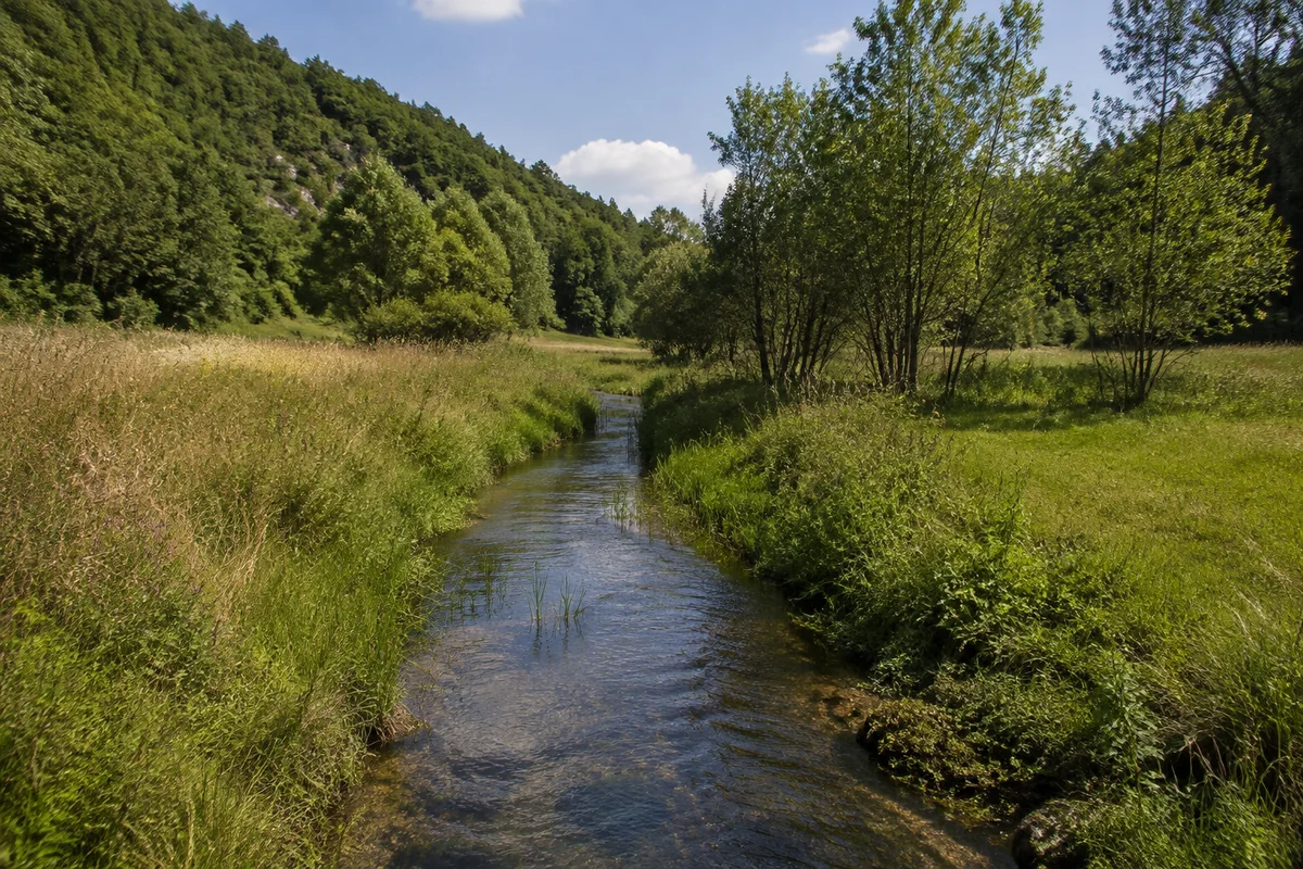 Schmale Weiße Laber bei Holnstein zwischen feuchten Talwiesen, Gehölzen und bewaldeten niedrigen Kalkhängen.