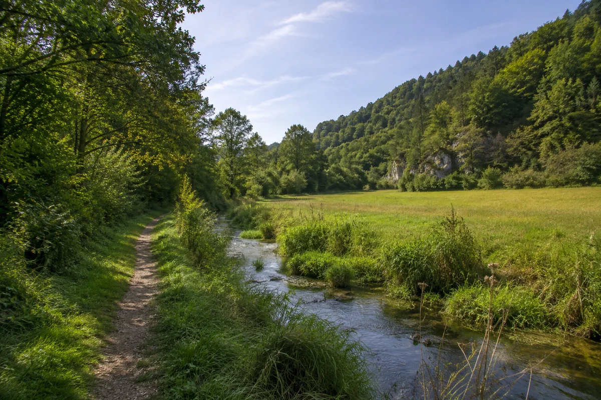 Berching: Grünes Sulztal bei Berching mit Wiesen und bewaldeten Juraflanken, ruhiger Weg am kleinen Fluss abseits des großen Kanals.