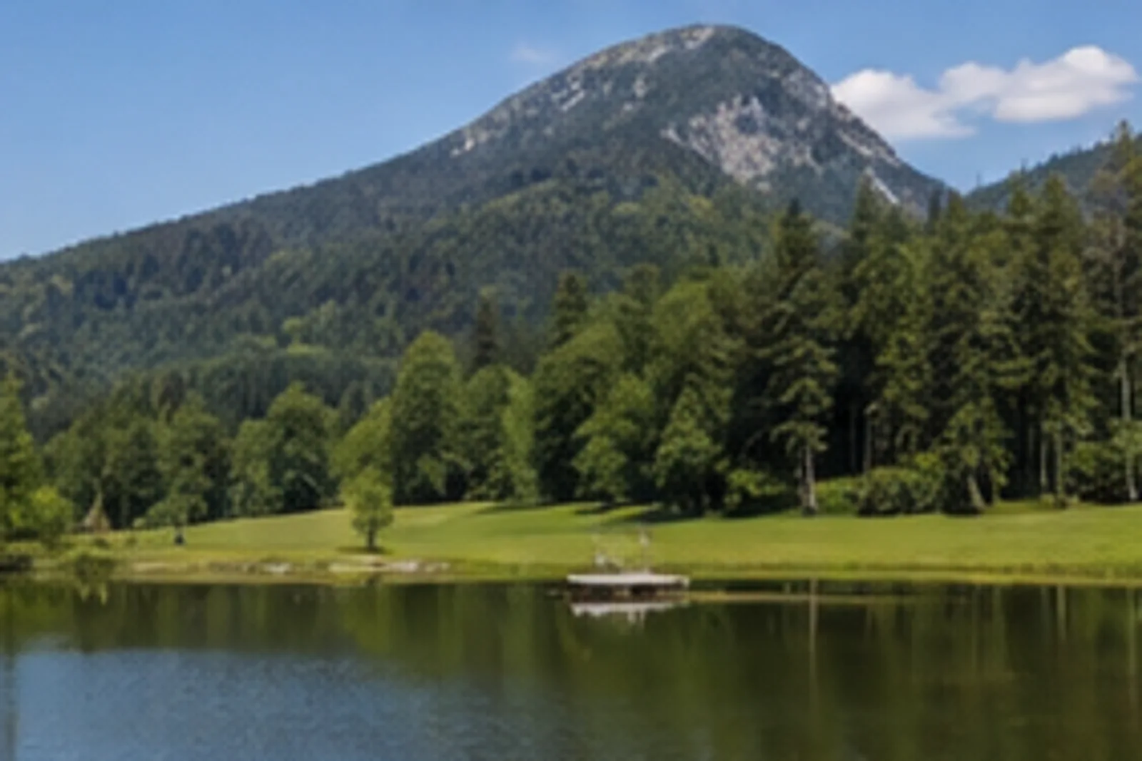 Aschauerweiher: kleiner Weiher am bewaldeten Bergfuß
