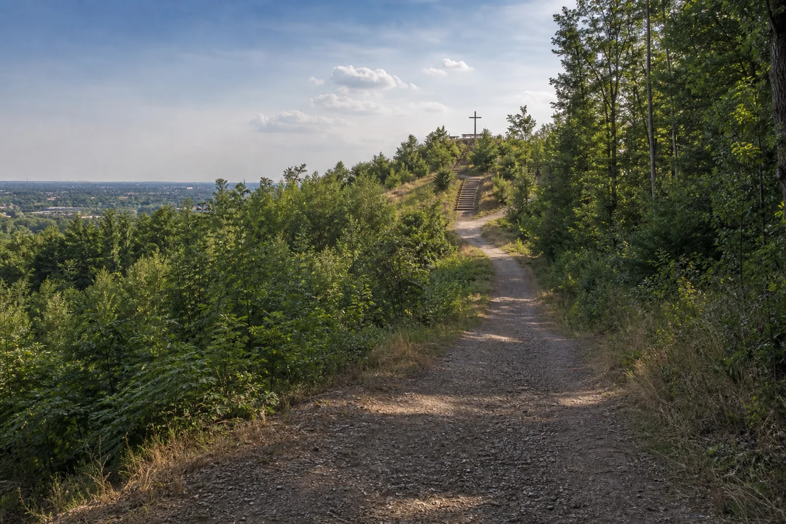 Bewaldeter Höhenweg als Visualisierung des Hürtherbergs