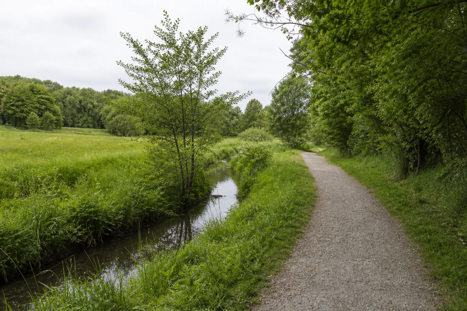 Wanderweg entlang der Strunde in Bergisch Gladbach