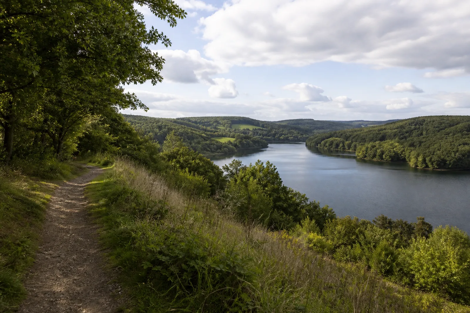 Große Dhünntalsperre im Bergischen Land zwischen bewaldeten Höhen