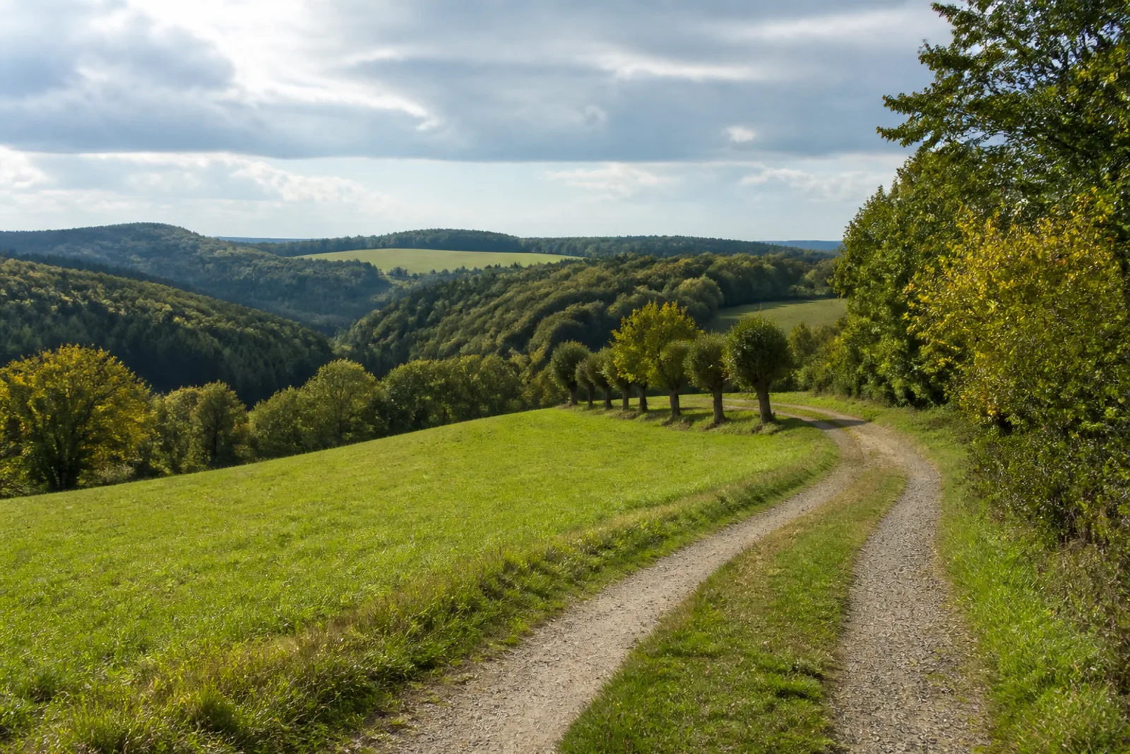 Offene Oberbergische Höhen im Bergischen Land mit Wiesenweg und Waldkuppen
