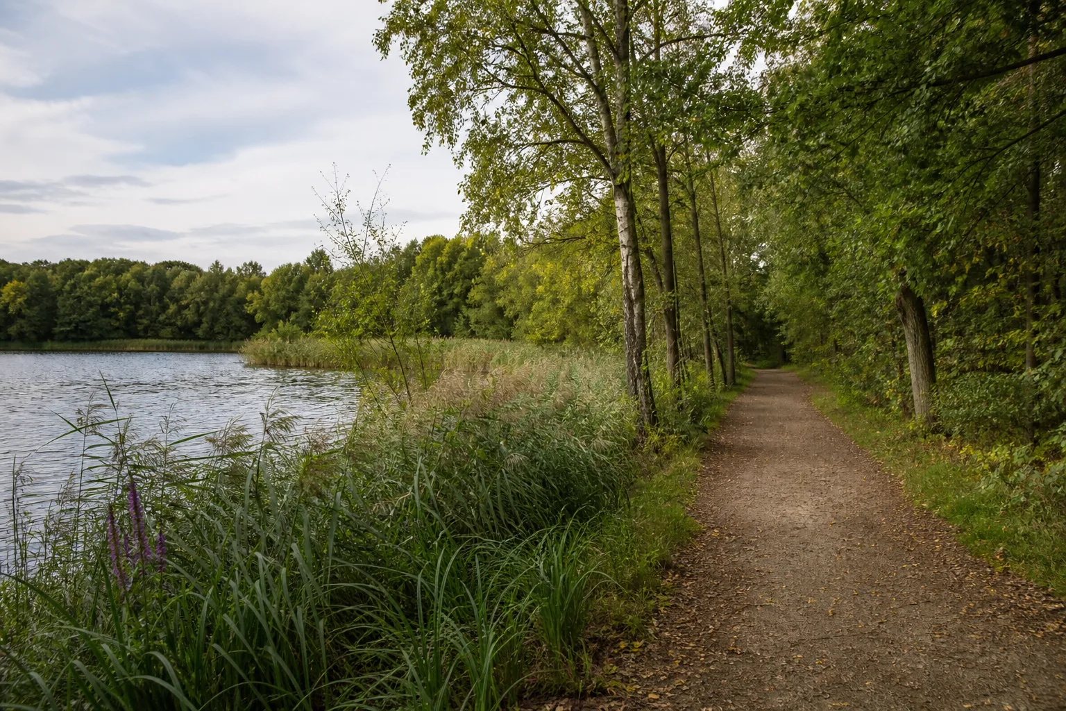 Beversee und Rünthe beim Wandern in Bergkamen