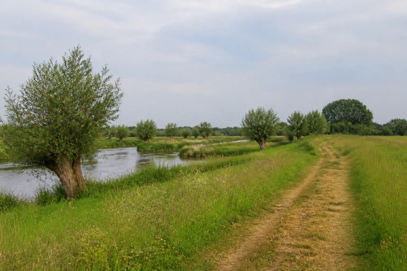 Seseke und Kanal beim Wandern in Bergkamen