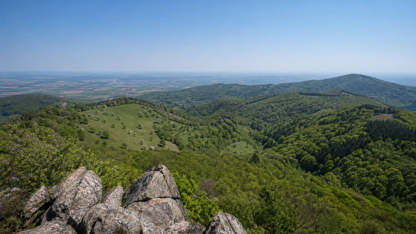 Bergstraße-Odenwald: Geo-Naturpark Bergstraße-Odenwald: bewaldete Kuppen, Streuobstwiesen und markante Granitblöcke über der Rheinebene
