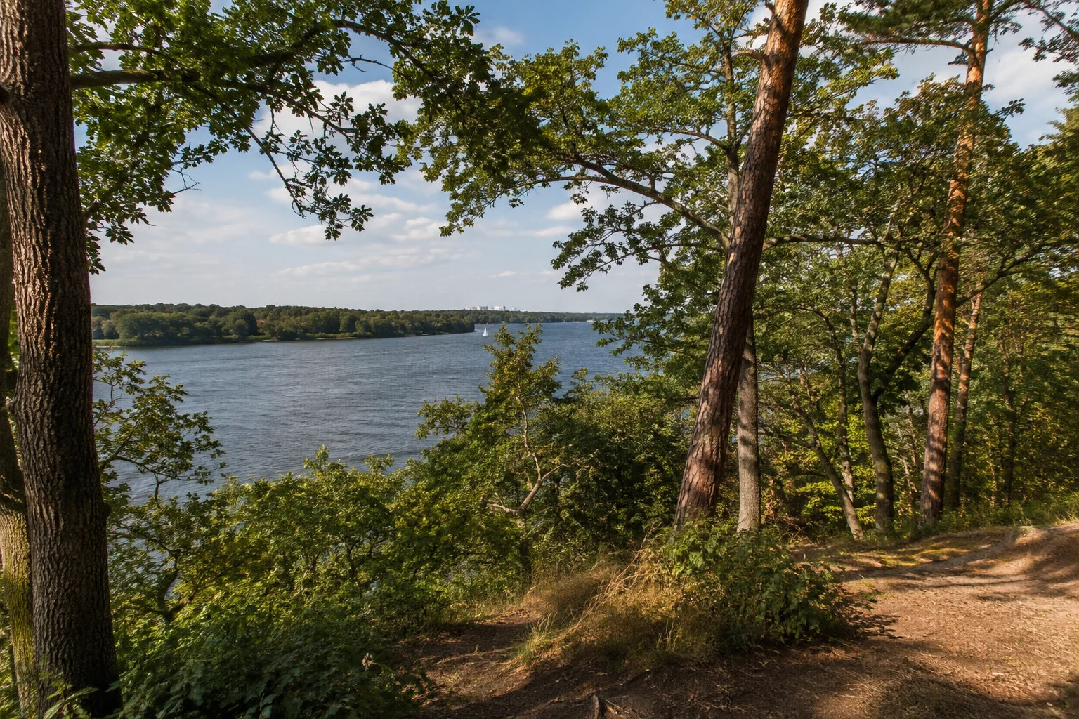 Berlin: Grunewald / Havelchaussee: Bewaldeter Havelhang mit Kiefern, Eichen und Blick auf das breite Wasser.