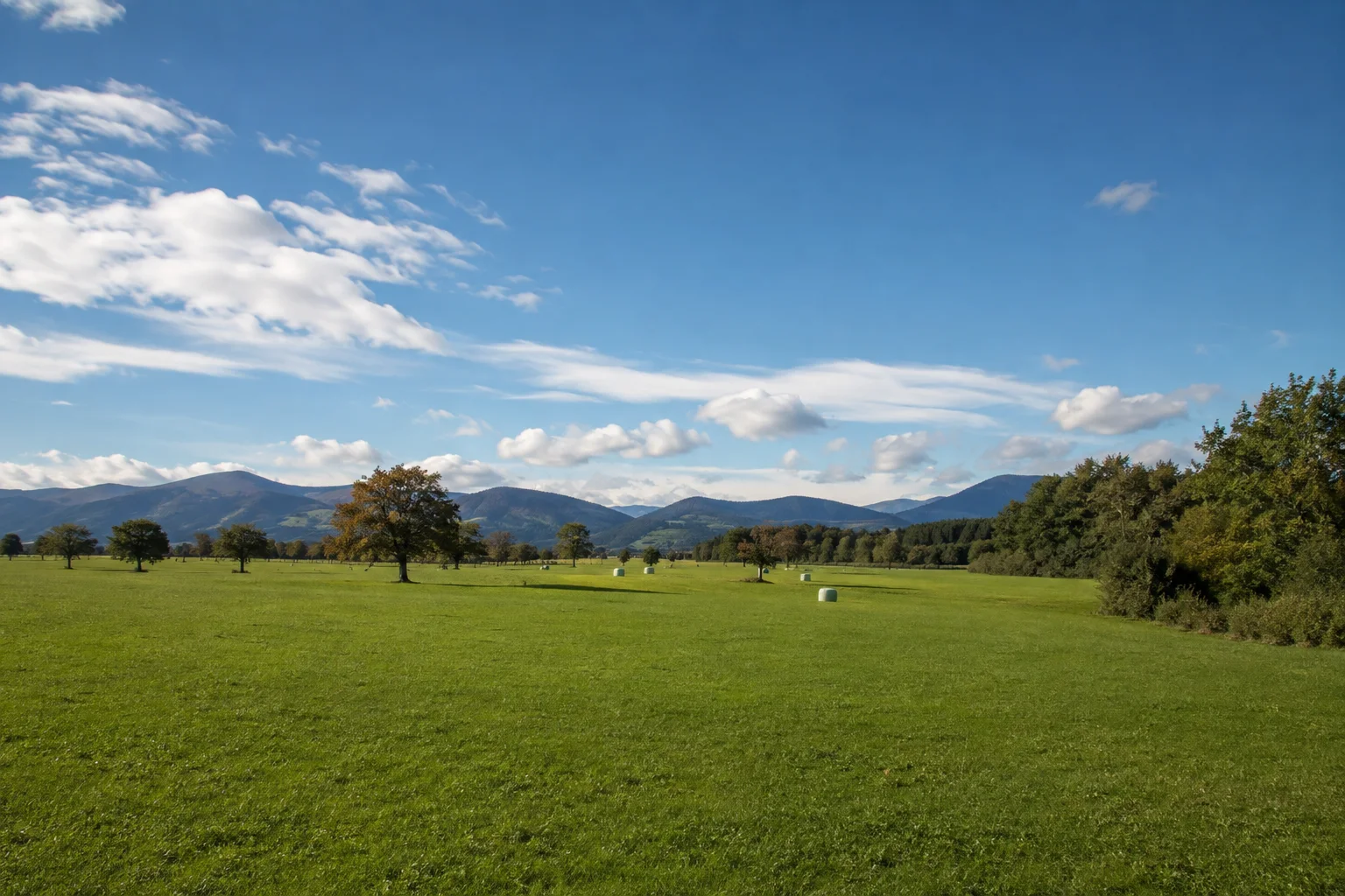Bernau am Chiemsee: Bernau am Chiemsee: Bernau: Wiesen am Übergang von flacher Chiemseeebene zu bewaldeten Chiemgauer Vorbergen