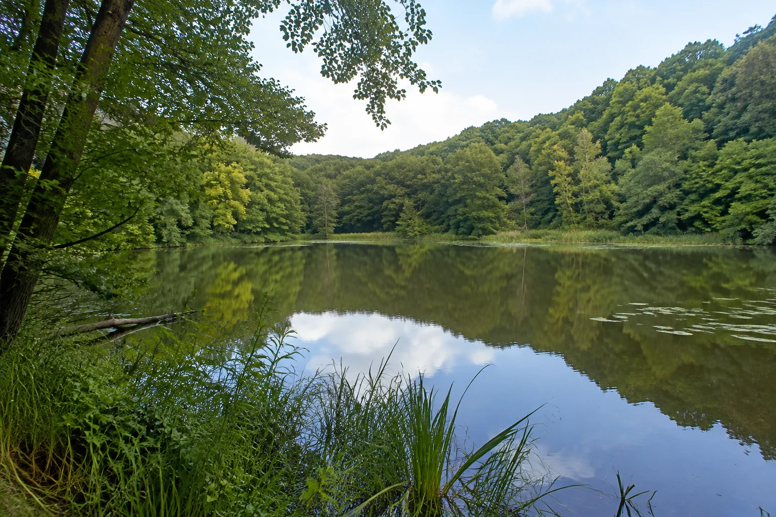 Kleiner Waldsee zwischen Laubwaldhängen.
