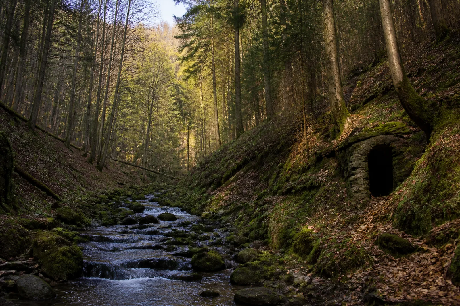 Waldtal mit Bergbauspur bei Ramsbeck