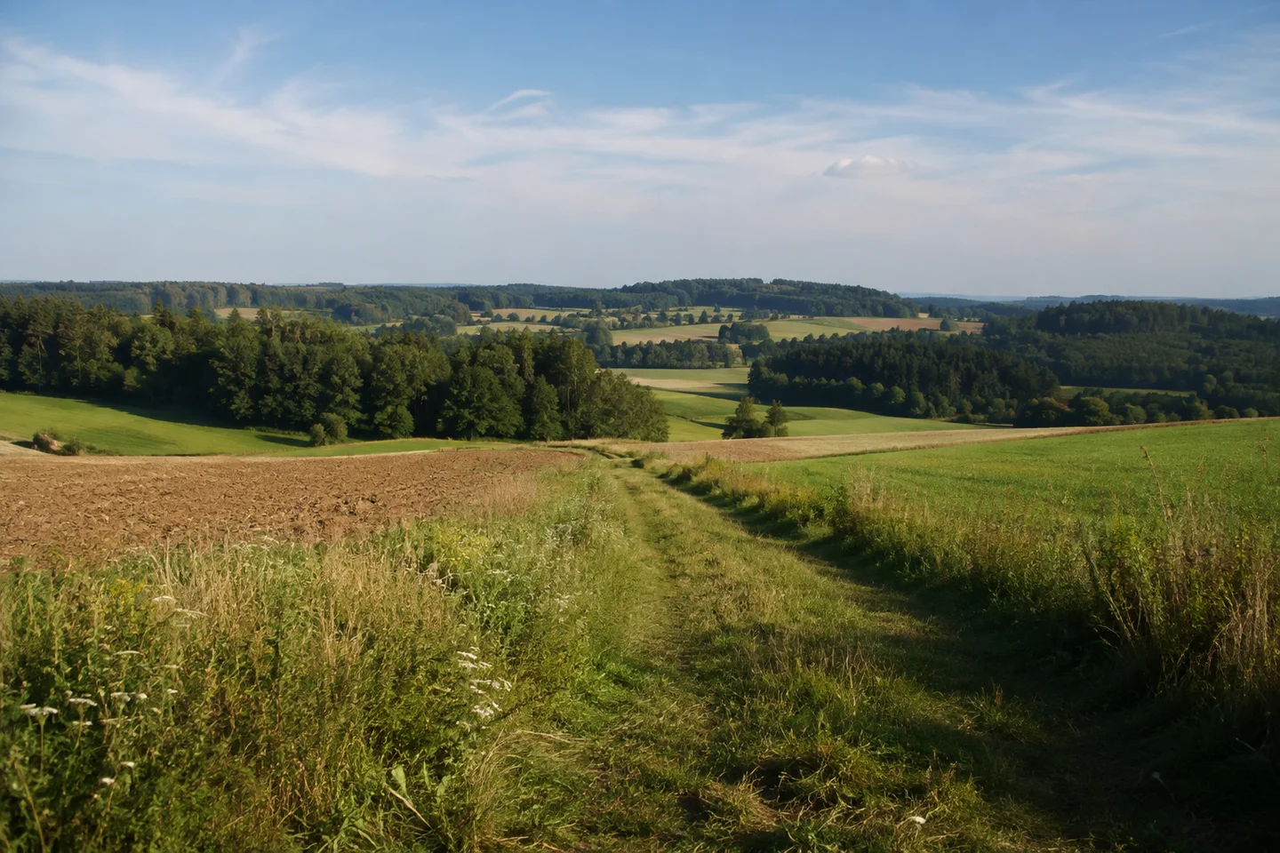 Gewellte Jurahochfläche bei Spies südlich Betzenstein, Wiesenweg zwischen kleinen Feldern und dunklen Mischwaldkuppen, weiter ruhiger Himmel.