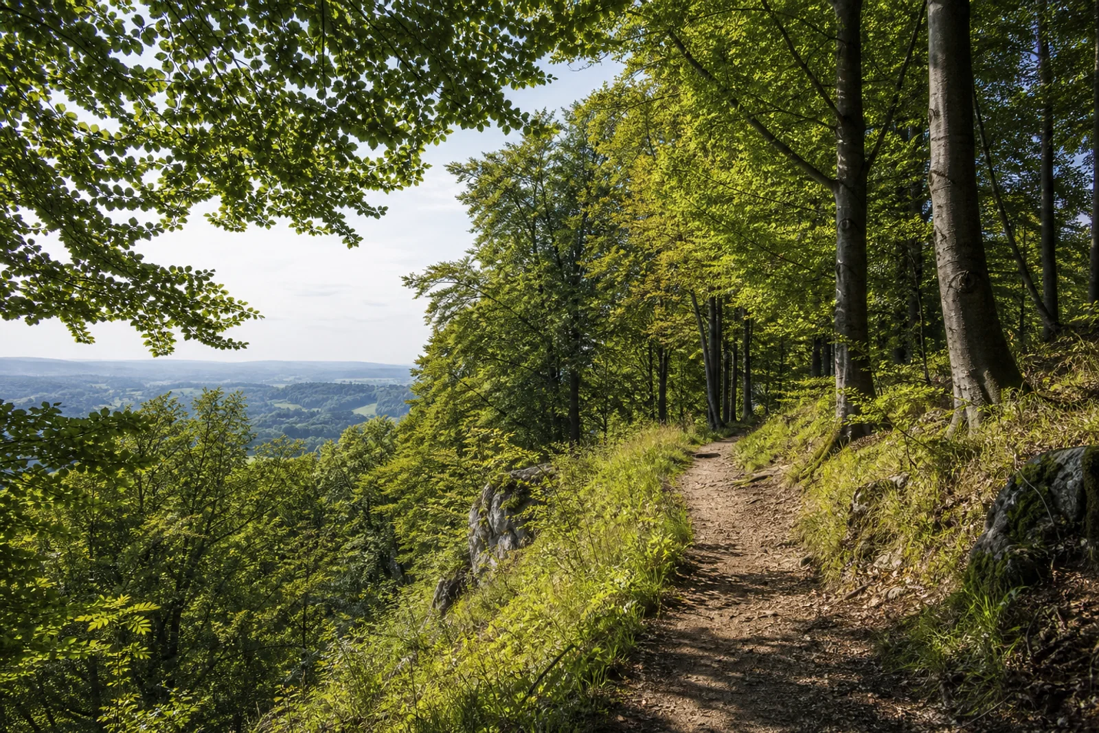 Bewaldeter Kammweg im Teutoburger Wald in Bielefeld