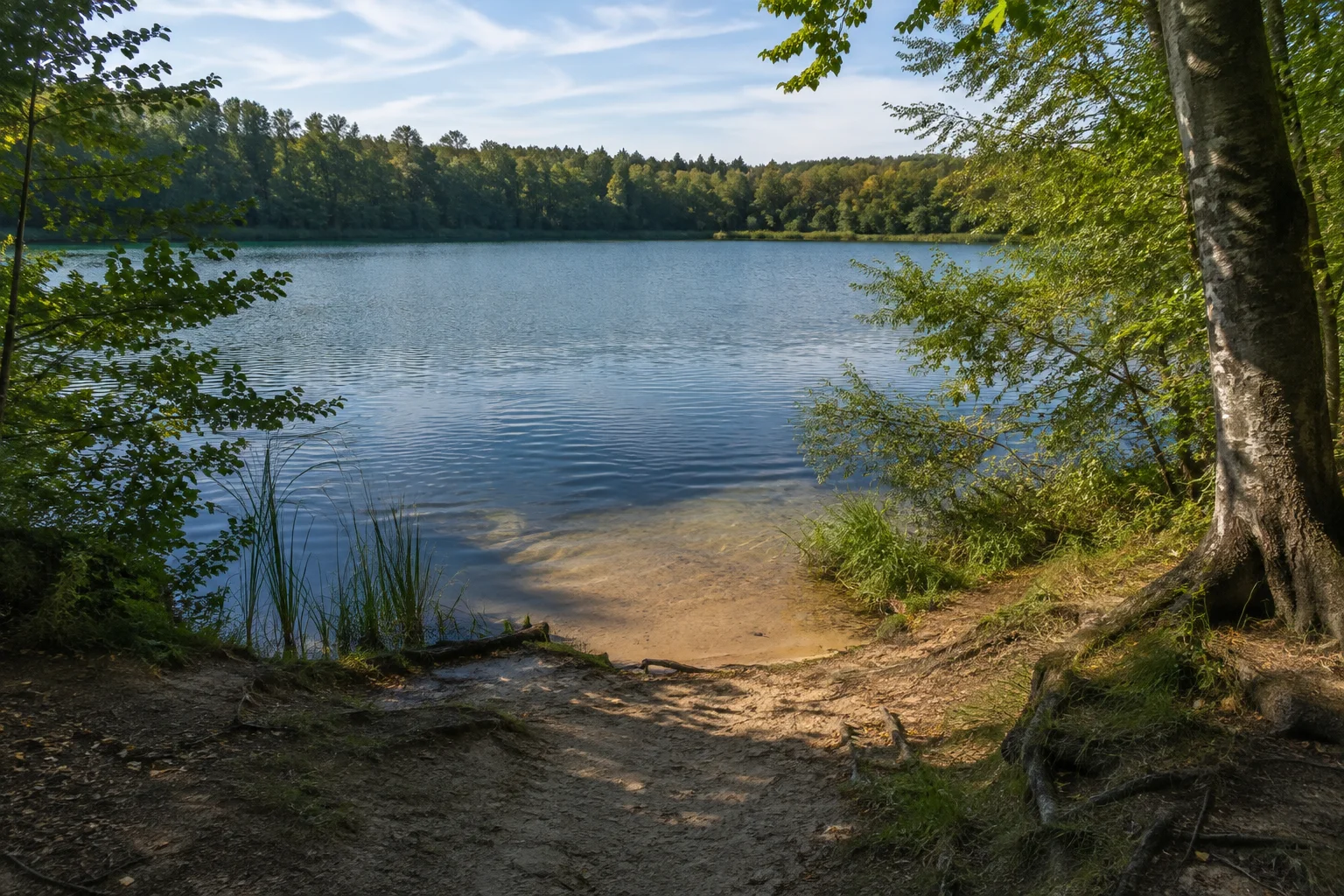 Biesenthal: Wukensee / südlicher Zugang: Waldsee mit sandigem Zugang und Laubwald.