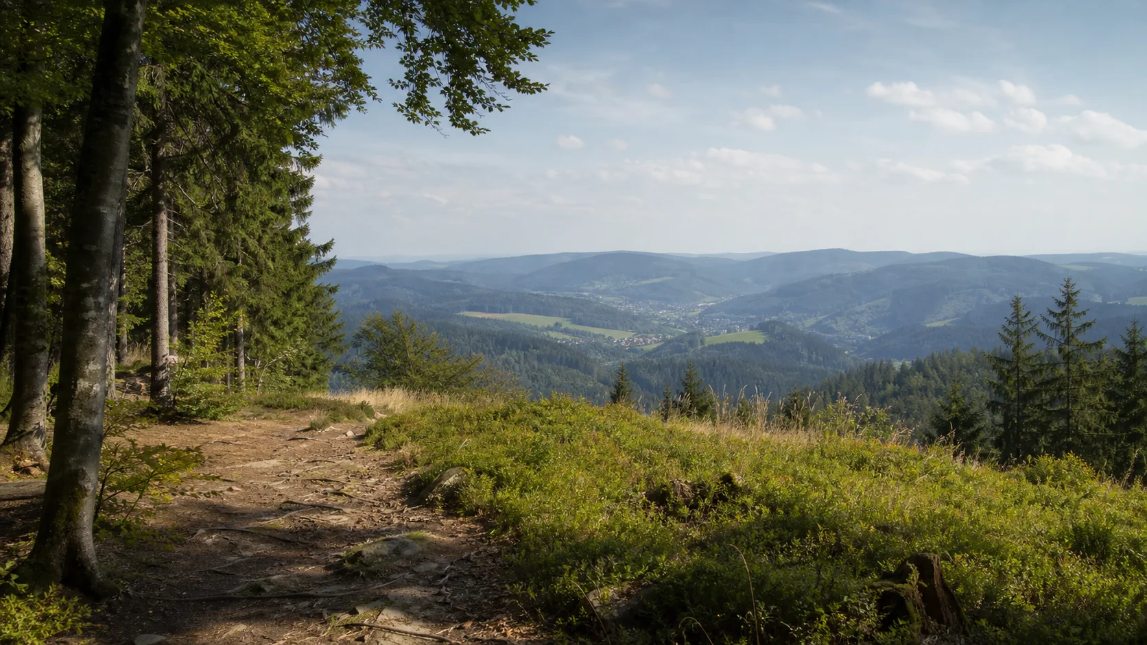 Waldweg am Bigger Berg