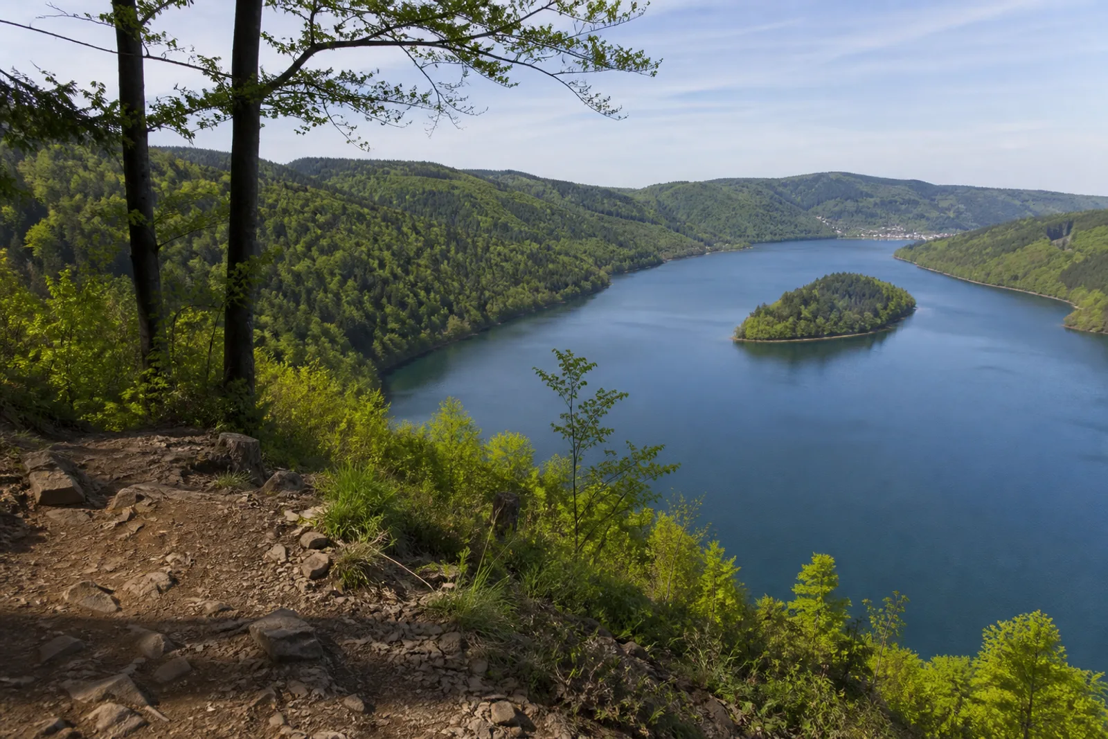 Biggesee: Waldenburger Bucht in Biggesee