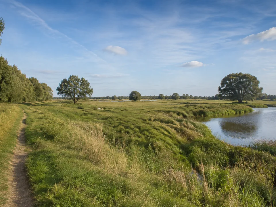 Havelberger Niederung: Breite niedrige Flussniederung mit Wiesen, einzeln stehenden Weiden und ruhigem Wasser