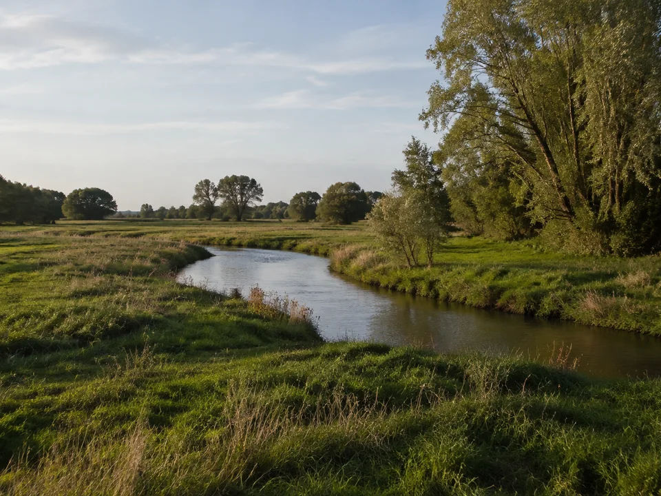Seege-Niederung bei Gartow: flache feuchte Wiesen mit schmalem Wasserlauf und Ufergehölzen