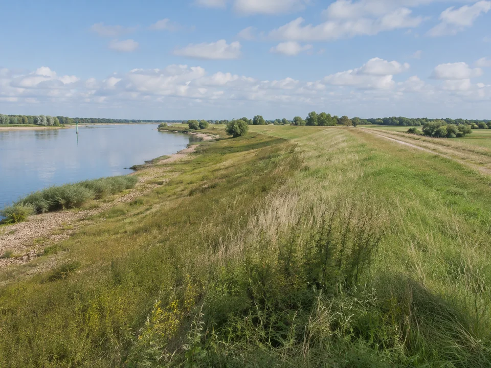 Elbtalaue bei Bleckede: weiter Himmel über grünen Deichwiesen und ruhigem Fluss, keine Küste oder Berge
