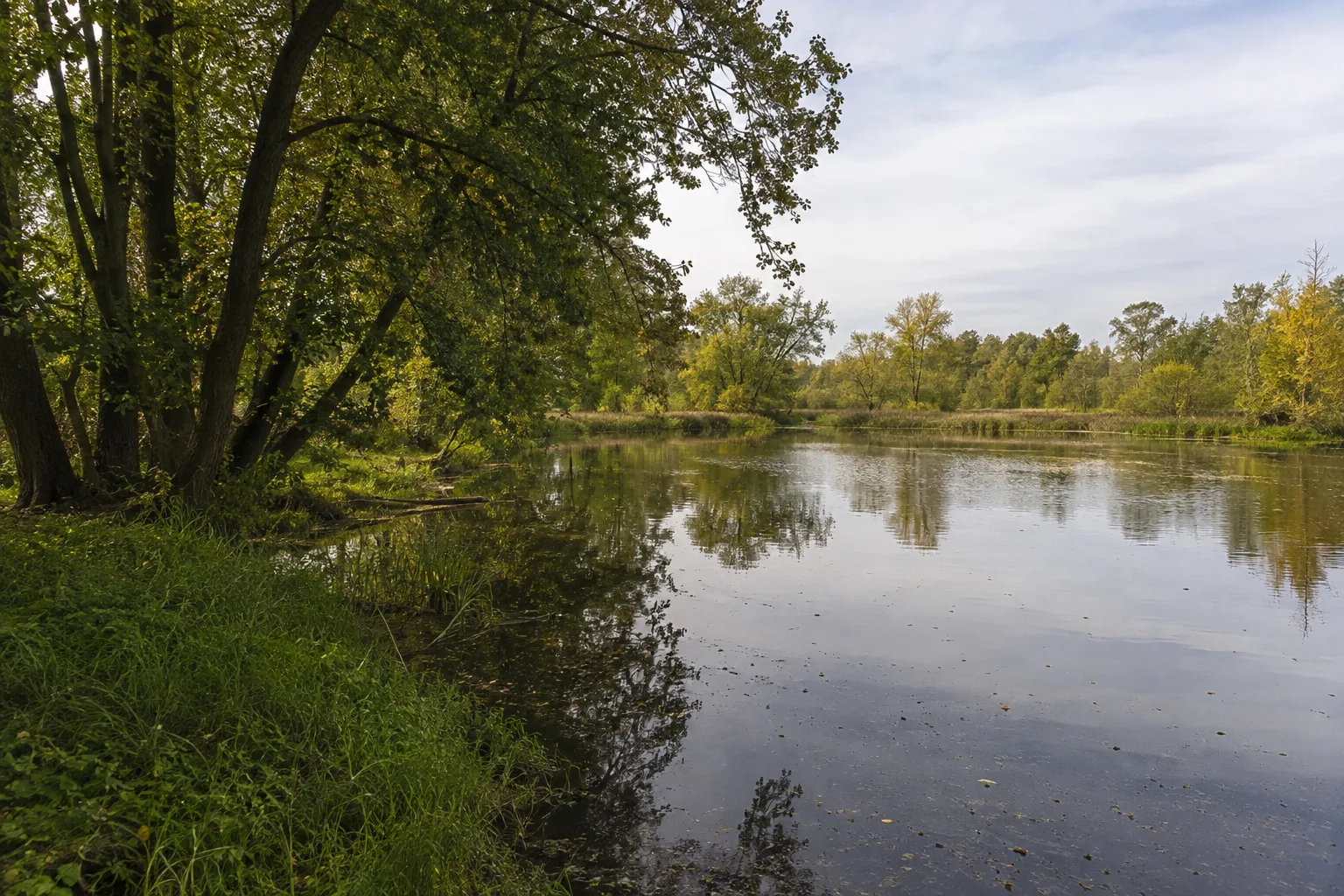 Straupitzer Teichlandschaft: Teiche und alter Laubwald am Rand der Streusiedlungslandschaft