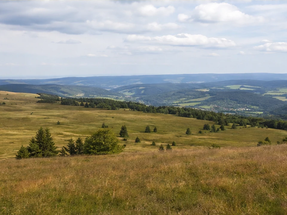 Himmeldunkberg: offene Höhe über Oberweißenbrunn