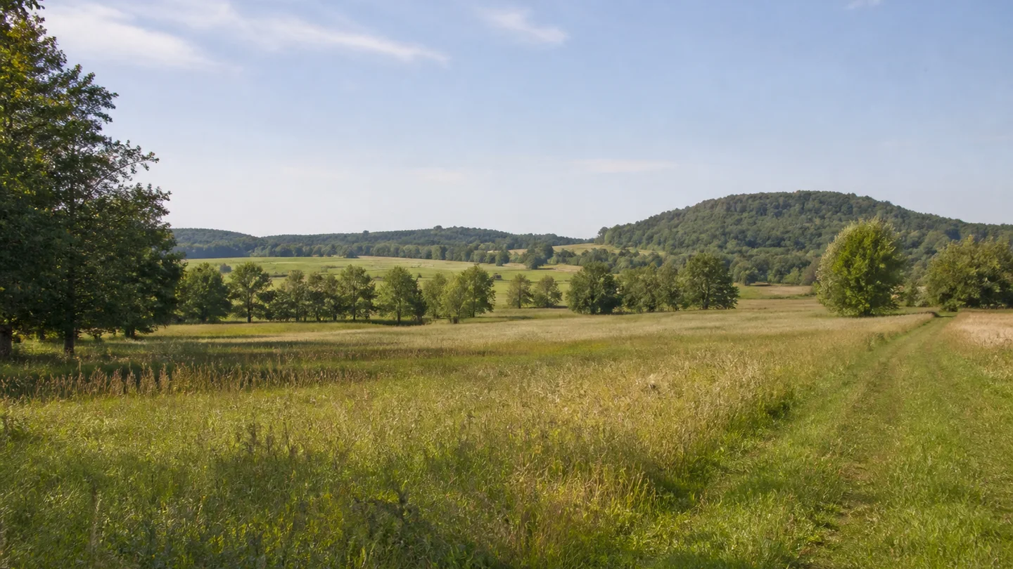 Bischofswerda: Bischofswerda Bahnhof: Großdrebnitzer Landschaft: langgestreckte flache Talmulde mit Wiesen, Baumreihen und kleinen bewaldeten Hügeln