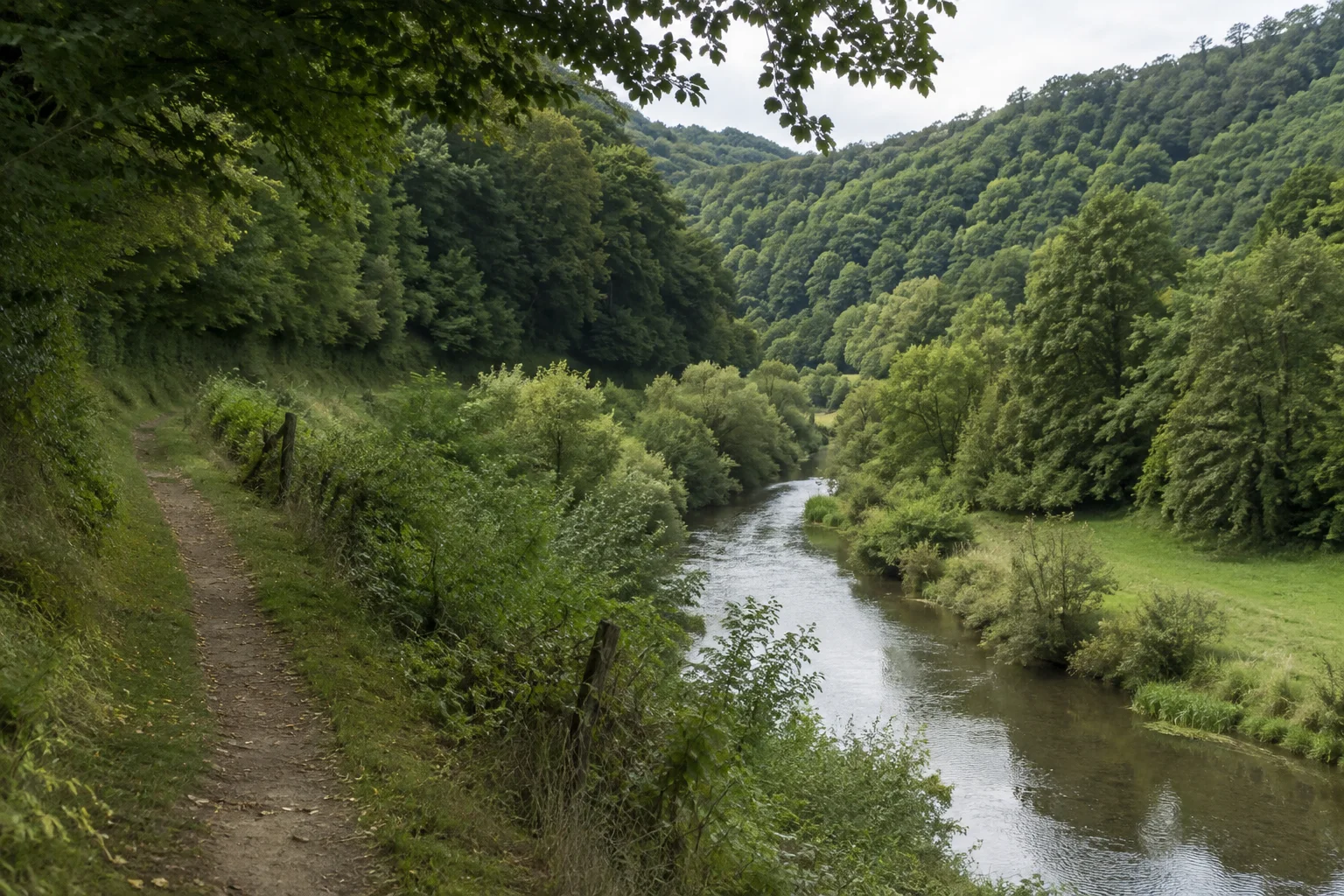 Kylltal bei Erdorf: schmaler Fluss mit bewaldeten Hängen, Uferbäumen und einem Fußweg über dem Talboden.