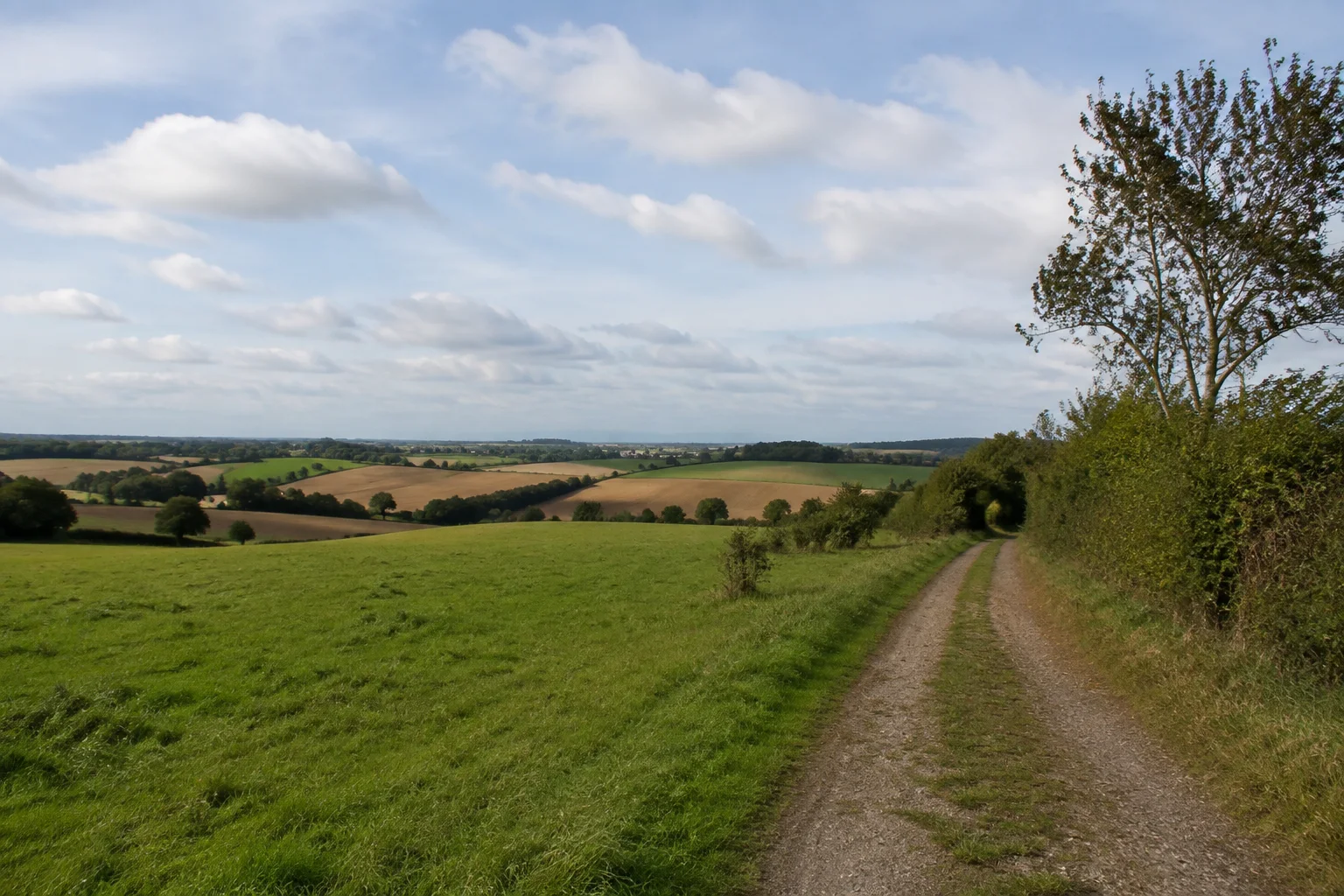 Bitburg: Bitburger Gutland: Feldweg zwischen grünen Wiesen und sanften Ackerhügeln am lockeren Stadtrand, keine dominanten Monumente.