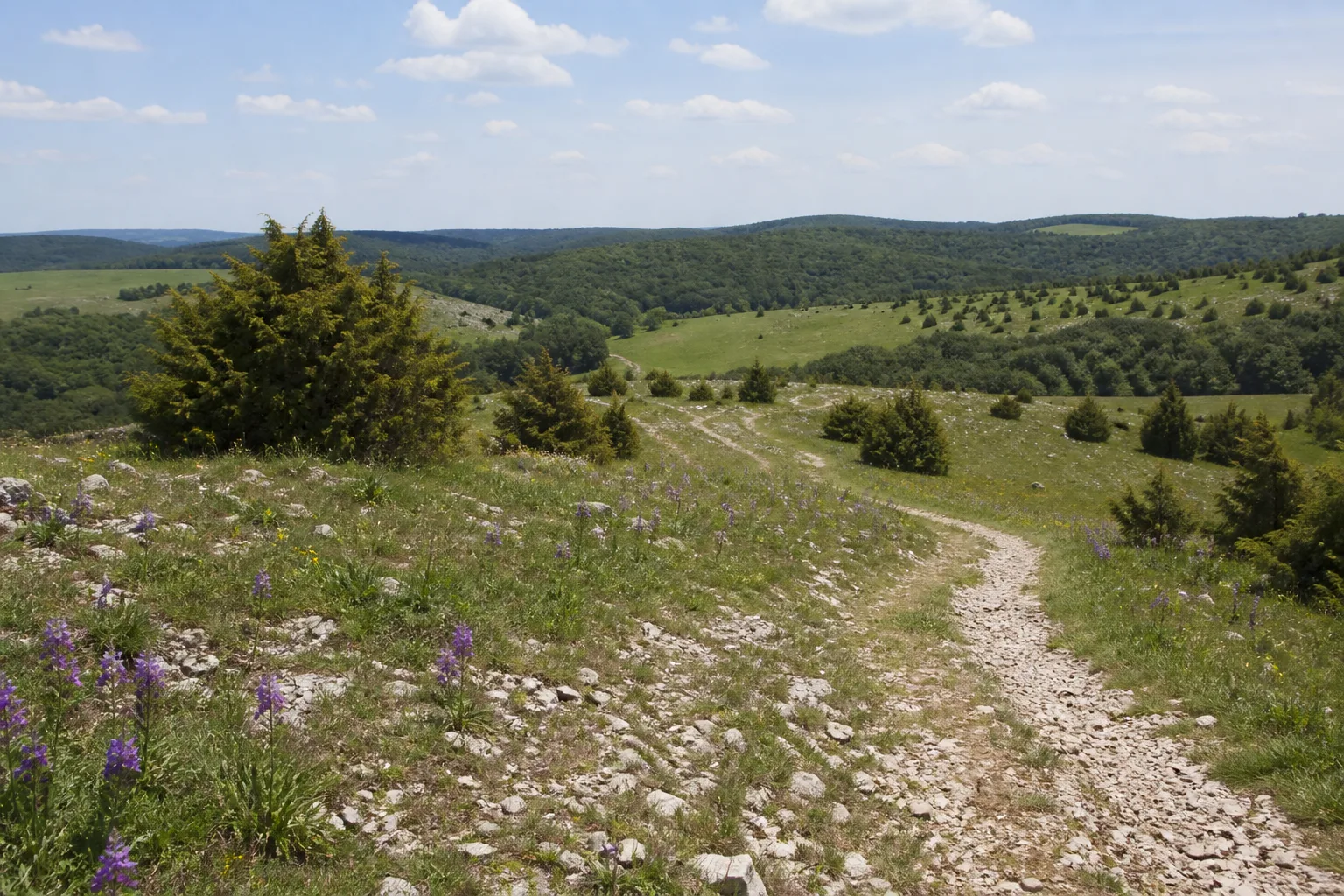 Wacholderpfad im Lampertstal bei Blankenheim