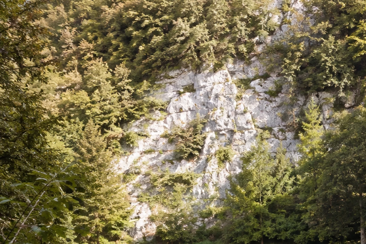 Blautopf-Ostzugang: temporäre Fußbrücken am Quellareal während der Sanierung