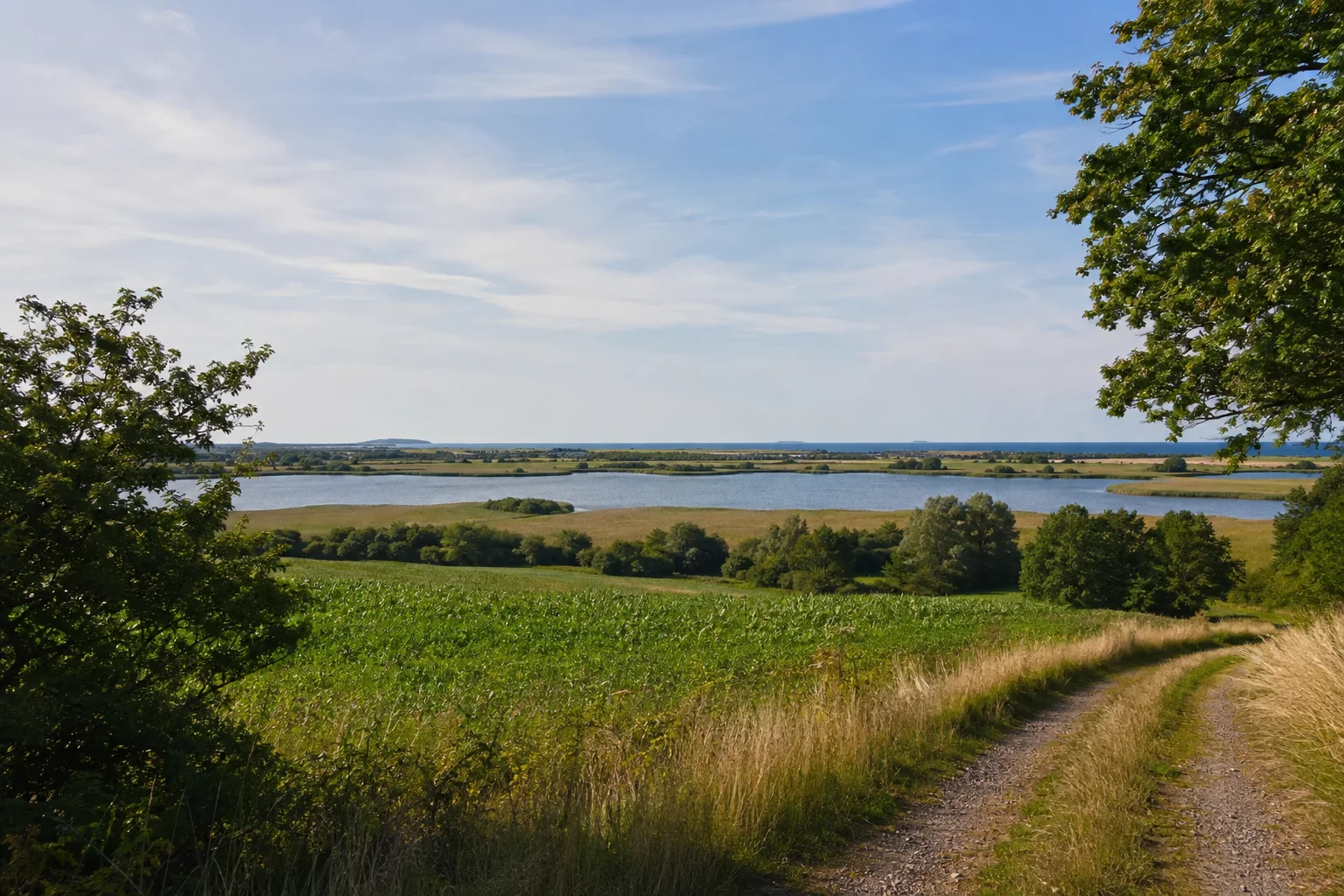 Sehlendorfer Binnensee: flacher Küstensee mit breitem Schilfgürtel, Wiesen und fernem niedrigen Ostseehorizont aus landseitiger Perspektive