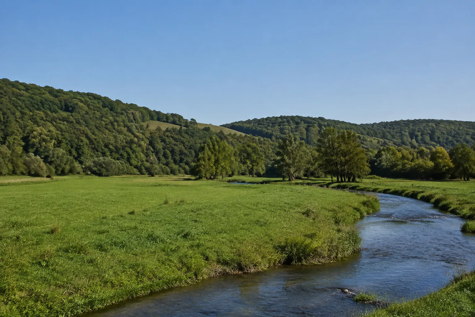 Bliesaue: breite grüne Flussaue unter sanften Hängen