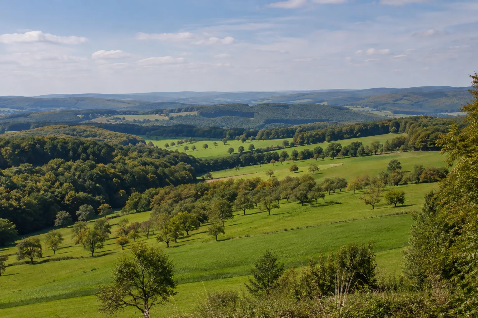 Bliesgau: Blieskastel: Bliesgau: sanfte Muschelkalkhügel mit Streuobstwiesen und Buchenwald