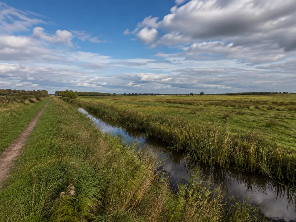 Gräben im Blockland: Schmaler wassergefüllter Entwässerungsgraben zwischen beweideten Wiesen mit Binsen, flache offene Landschaft und große Wolken