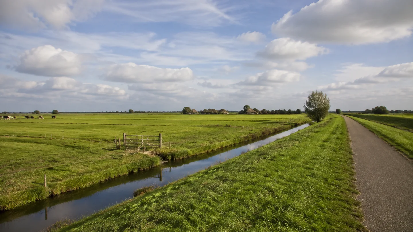 Blockland: Kuhsiel und Kuhgraben: Flache Rinderweiden mit geraden Gräben und niedrigem Wümmedeich, wenige ferne reetgedeckte Bauernhäuser