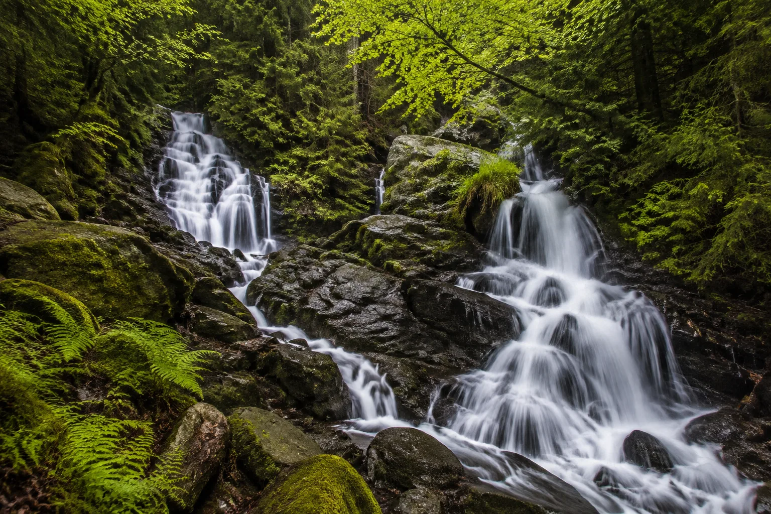 Rißlochfälle: mehrstufiger Wildbach über dunkle Felsen im Bergmischwald