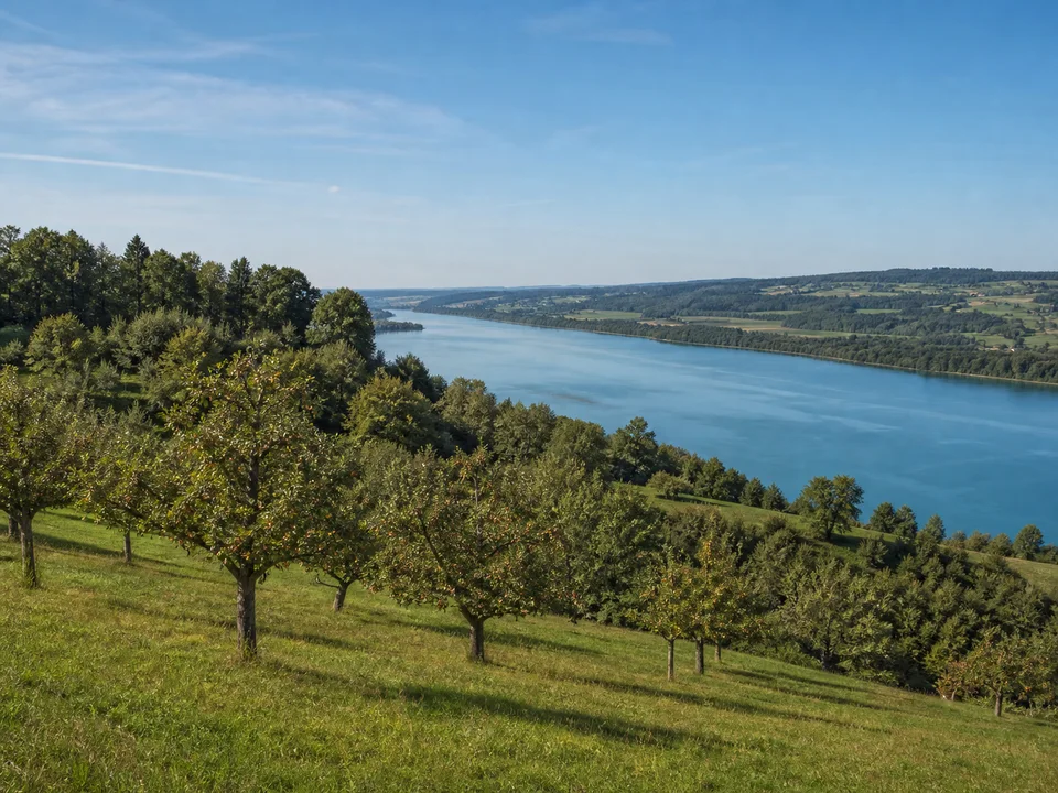 Bodanrück-Höhen: Sanfte Obstwiesen auf einer niedrigen bewaldeten Anhöhe über einem langen schmalen Seearm, keine nahen hohen Berge
