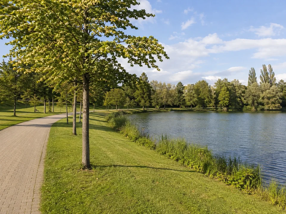 Böblinger Seeufer: Kleine städtische Parkwasserfläche mit gepflegtem Fußweg, Laubbäumen und Rasen ohne erfundene Gebäude